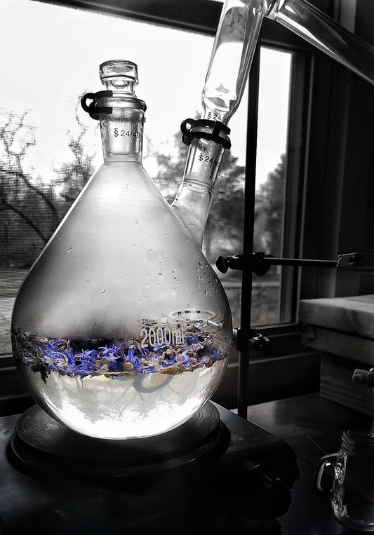 The Art of Distilling: Unlocking Essential Oils and Hydrosols