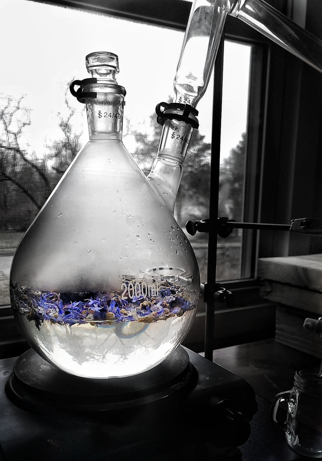 The Art of Distilling: Unlocking Essential Oils and Hydrosols