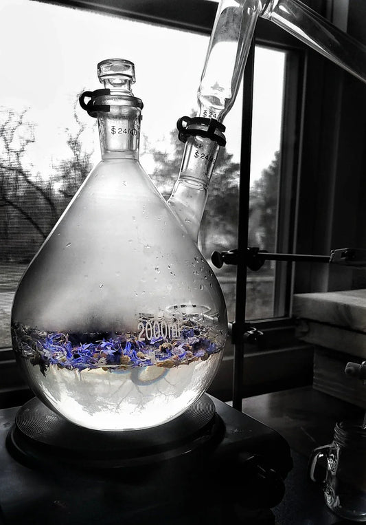 The Art of Distilling: Unlocking Essential Oils and Hydrosols